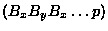 $(B_xB_yB_x\ldots p)$